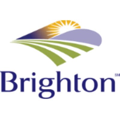 city of brighton logo